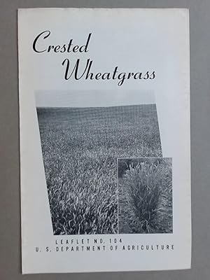 Crested Wheatgrass.