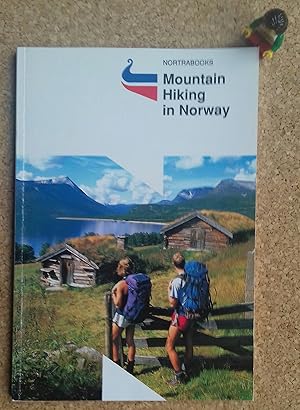Mountain Hiking in Norway