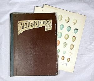 A Portfolio Containing 20 Coloured Plates of Bird Eggs Illustrated by F.W. Frohawk.