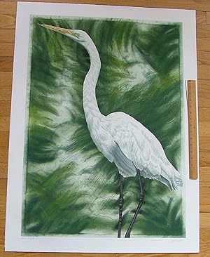 Great Egret, an original copper plate engraving from the collection of twenty Birds of Florida. 1...