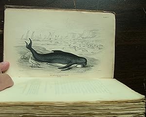 The Naturalist's Library. Mamalia. Vol. VI on the Ordinary Cetacea or Whales