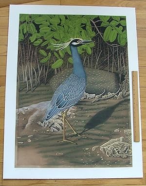 Yellow Crowned Night Heron, an original copper plate engraving from the collection of twenty Bird...