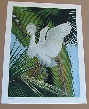 Snowy Egret, an original copper plate engraving from the collection of twenty Birds of Florida. 1...