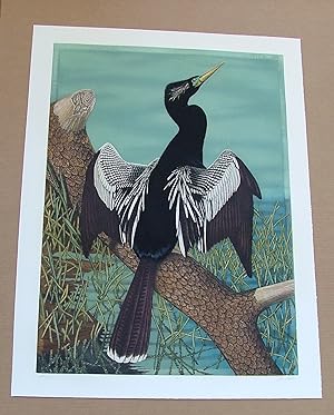 Anhinga, an original copper plate engraving from the collection of twenty Birds of Florida. 1/250...