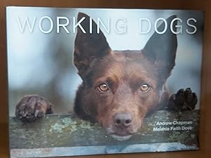 WORKING DOGS