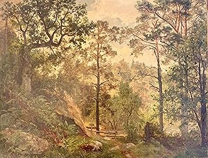 Swedish landscape