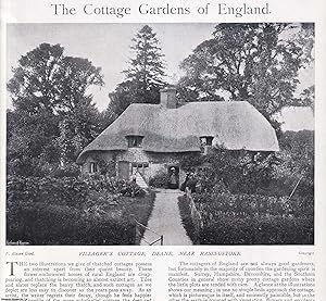 The Cottage Gardens of England. Several pictures and accompanying text, removed from an original ...