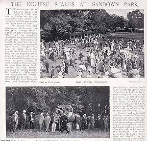The Eclipse Stakes at Sandown Park and Henley Regatta, 1897. Several pictures and accompanying te...