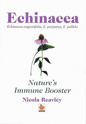 Echinacea - Nature's Immune Booster