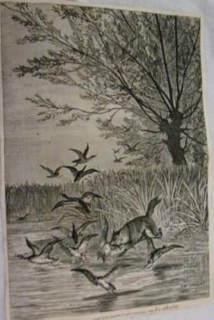 GRAVURE SUR BOIS 19è D' APRES DARGENT BRACONNAGE AVANT PENDANT OUVERTURE CHASSE