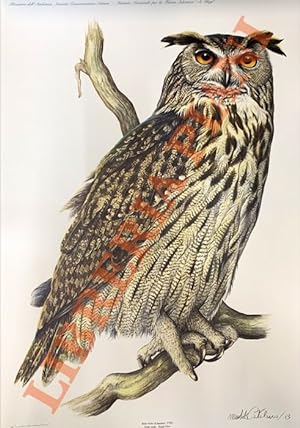 Iconografia degli uccelli d'Italia. Iconography of italian birds. Tavole di Umberto Catalano. Vol...