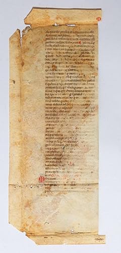 Two fragments from Raymond of Penyafort (d. 1275), Summa de casibus penitentialis and Summa de ma...