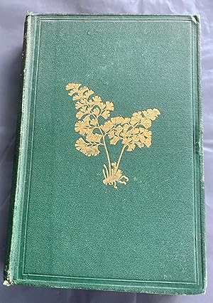 British ferns: an introduction to the study of the ferns, lycopods, and equiseta indigenous to th...