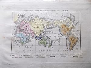 Stampa Antica Originale Mappa Geografica Specie Umana Animale periodo 1835-1845