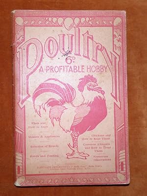 POULTRY A PROFITABLE HOBBY