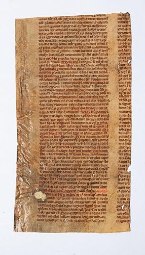 Two fragments of an unidentified Commentary on the New Testament, in Latin, manuscript on parchme...