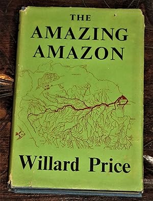 The Amazing Amazon