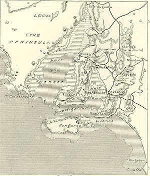 1800s Antique Map of Adelaide,Spencer and St. Vincent Gulfs in Australia