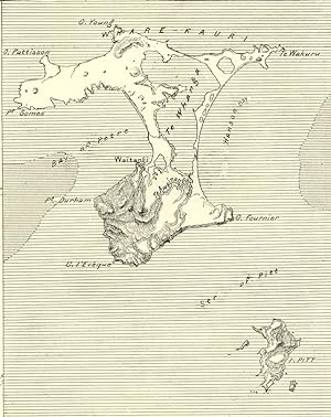 Chatham Island off the east coast of New Zealand's South Island,1800s Antique Map