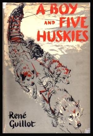 A BOY AND FIVE HUSKIES