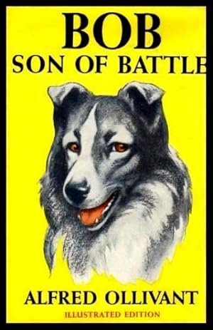 BOB, SON OF BATTLE