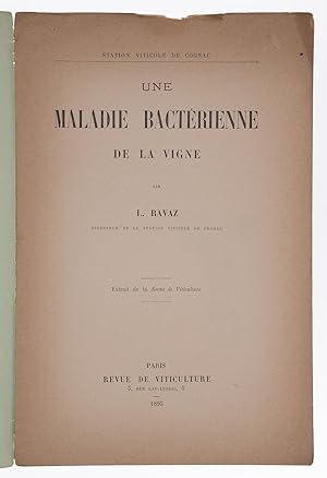 [Wine Interest]. Une Maladie Bactérienne de la Vigne, Extrait de la Revue de Viticulture.