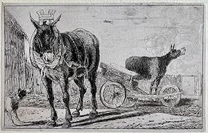 Antique print, etching I The two donkeys (twee ezels), published 1656, 1 p.