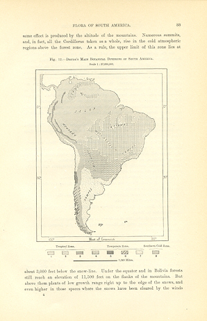 Main Botanical Divisions of South America according to German botanist Oscar Drude,1894 Antique Map