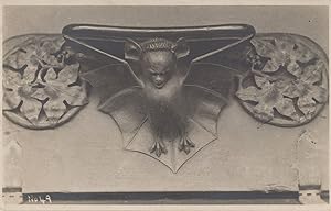 Wells Somerset Bat Antique Postcard
