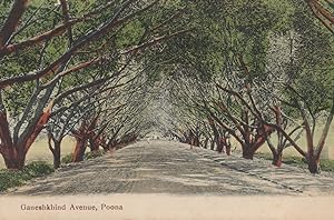 Ganeshkhind Avenue Poona India Old Postcard