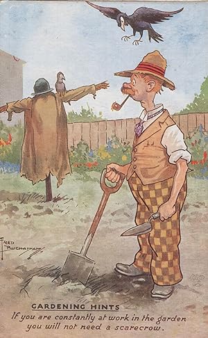 Gardening Hints Scarecrow Pipe Smoking Birds Old Tucks Postcard
