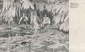 Explorers Resting at Dew Pond Saint Helena Ascension Island Old Postcard