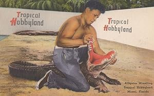 Alligator Wrestling Tropical Hobbyland Miami FLA Vintage Linen Postcard