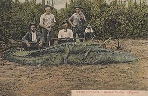 Alligator Hunting Trophy Hunters Blood Sports Antique Panama Postcard