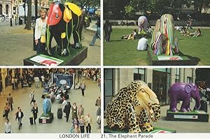 Elephants In London City Parade Life The Photo Gallery Postcard