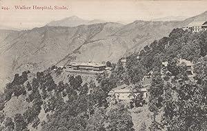 Walker Hospital Simla Antique India Postcard