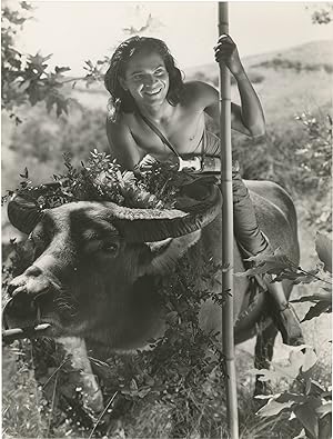 The Jungle Book (Three original oversize photographs from the 1942 film)