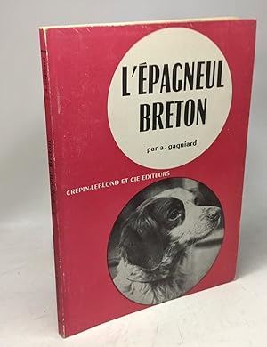 L'Epagneul breton - chien d'arrêt idéal
