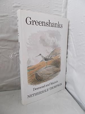 Greenshanks