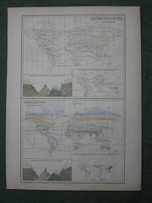 Zoological Chart of the World Shewing the Distribution of some of the Principal Members of the An...