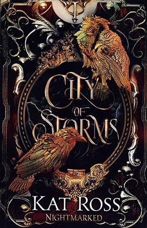 City of Storms Book 1 of 4 in the Nighthawk Series