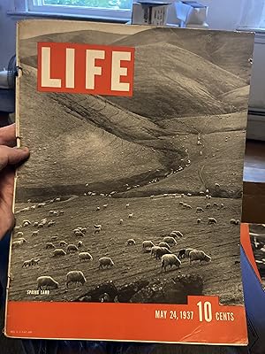 life magazine may 24 1937