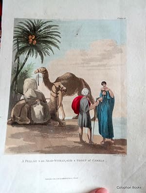 A Fellah & an Arab-Woman With a Group of Camels.