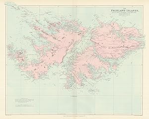 The Falkland Islands surveyed by Captain Robert Fitzroy R.N. , William Robinson R.N., Bartholomew...