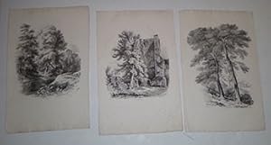Three lithographs of trees with ancient edifices. First edition.