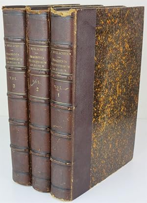 Fragmenta Philosophorum Graecorum. 3 Volumes. Collegit, Recensuit, Vertit, Annotationibus Et Prol...