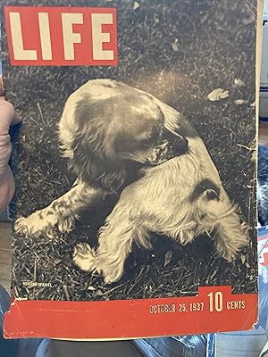 life magazine october 25 1937