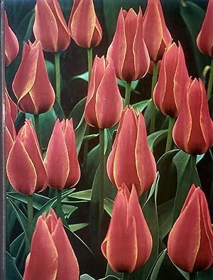 Bulbs (Time Life Encyclopedia of Gardening)