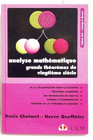Analyse mathématique. Grands théorèmes du vingtième siècle. Avec une réface de Gilles Godefroy.