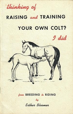 Thinking of Raising and Training Your Own Colt?--I Did; From Breeding to Riding